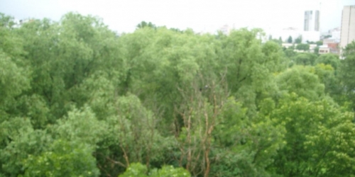 3-комн квартира Добровольцев,  д. 18