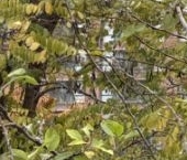 Продать Квартиры вторичка Ходынский бульвар, 20А   