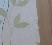 Сдать в аренду Квартиры вторичка пос. Шушары, Московское шоссе, 246   