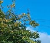 Продать Квартиры вторичка Электросталь, улица Тевосяна, 22а   