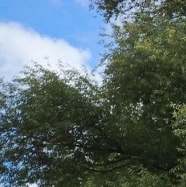 Продажа 2-комн квартиры на вторичном рынке Вешняковская улица, 8К1 Продажа 2-комн квартиры на вторичном рынке Вешняковская улица, 8К1