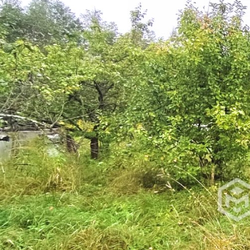 Коттедж/дом Пупышево садоводческий массив, Природа СНТ, аллея 2-я