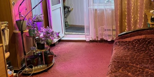 Комната улица Теплый Стан, 7К3