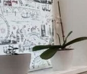 Продать Квартиры вторичка Долгопрудный, Дирижабельная улица, 28к1   