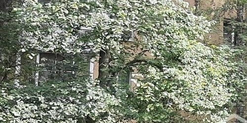 2-комн квартира 3-я Владимирская улица, 3К2