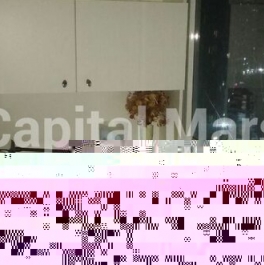 Аренда 1-комн квартиры на вторичном рынке Энтузиастов пр-кт,  д. 38