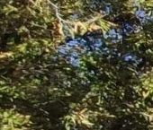 Продать Квартиры вторичка шоссе Энтузиастов, 86Ак3   