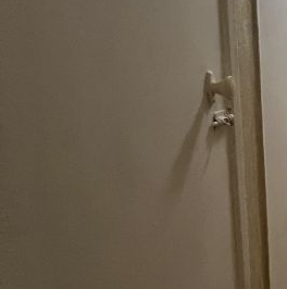 Аренда 2-комн квартиры на вторичном рынке Самаркандский бульвар, 9К3