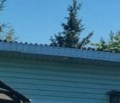 Продать Дачи, коттеджи, загородные дома Красное Село, Дружба СНТ, 10-я линия   