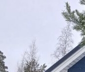 Продать Дачи, коттеджи, загородные дома Боровое массив, Боровое-2 СНТ, 32   