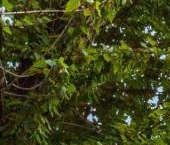 Продать Квартиры вторичка 3-я Фрунзенская улица, 5к1   