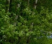 Продать Квартиры вторичка Петергофское шоссе, 84к15   