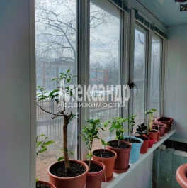 Продажа 3-комн квартиры на вторичном рынке Суздальский просп.,  д. 101