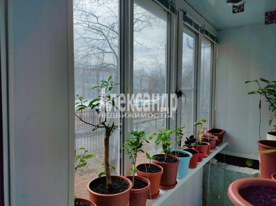 Продажа 3-комн квартиры на вторичном рынке Суздальский просп.,  д. 101