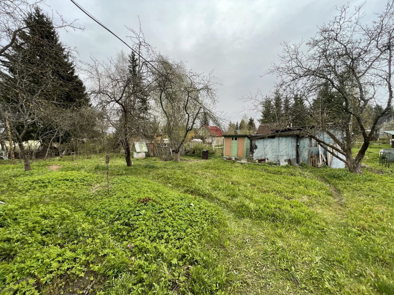 Продажа дома Мшинская садоводческий массив, Прогресс СНТ,  д. 237