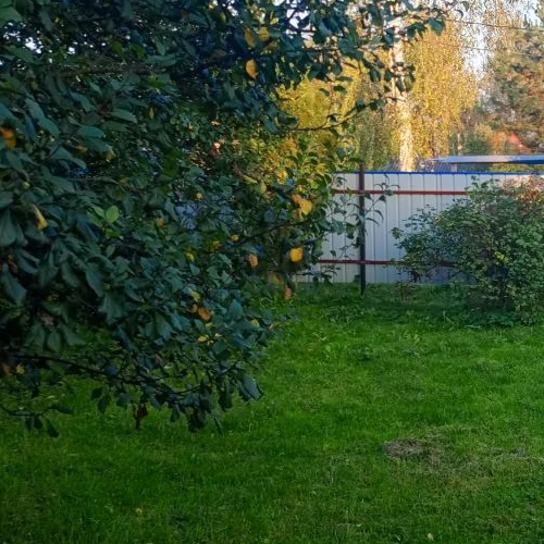 Коттедж/дом Гатчина, Новопролетарская улица, 11