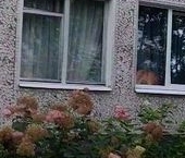 Продать Квартиры вторичка Кингисепп, улица Жукова, 6   