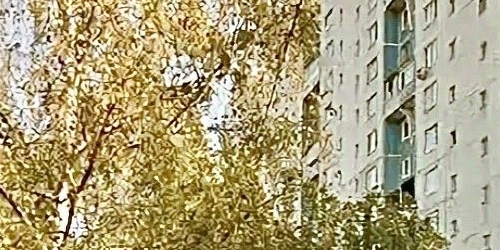 1-комн квартира Борисовский проезд, 7