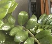 Продать Квартиры вторичка Губернский мкр, улица Земская  21 