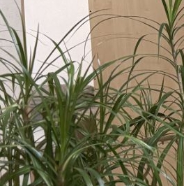 Продажа 2-комн квартиры на вторичном рынке улица Металлургов, 8/20