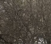 Продать Квартиры вторичка улица Олений Вал, 24К3   