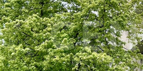 1-комн квартира 6-й Новоподмосковный переулок, 6