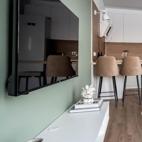 1-комн квартира Большой Сампсониевский проспект, 69к1