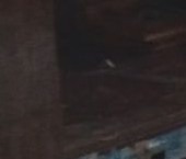 Продать Квартиры вторичка д. Большая Вруда, 9   