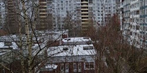 2-комн квартира Суздальский проспект, 9