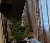 Продать Квартиры вторичка Долгопрудный, Московское шоссе, 49к1   