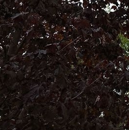 Продажа 3-комн квартиры на вторичном рынке Колпино, Оборонная улица, 2