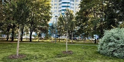 2-комн квартира Новгородская улица, 37