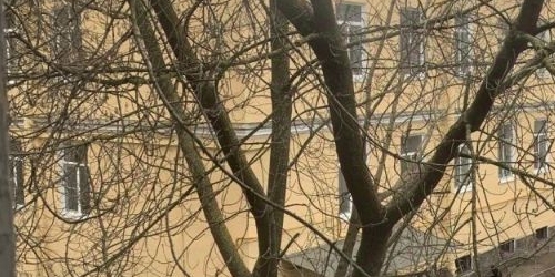 3-комн квартира Баррикадная улица, 14К2