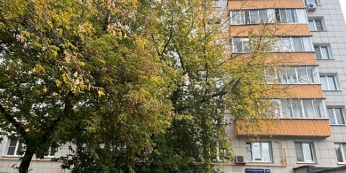 1-комн квартира ул Архитектора Власова,  д. 43