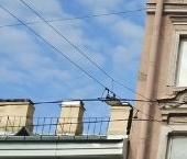 Продать Комнаты в квартирах проспект Римского-Корсакова, 93   