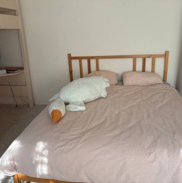 Аренда дома Жаворонки, Центральная улица