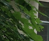 Продать Квартиры вторичка пос. Пансионата Полушкино, улица Госпиталь  2 