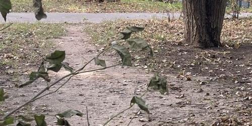 1-комн квартира улица Полбина, 12