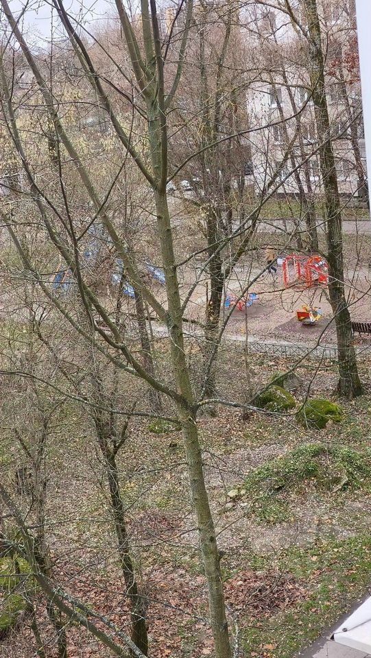 Продажа 2-комн квартиры на вторичном рынке Сосновый Бор, Молодежная улица, 3