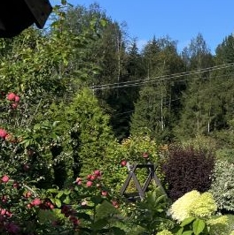 Продажа дома Фауна СНТ