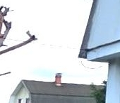 Продать Дачи, коттеджи, загородные дома Пушкин, СНТ Дони тер., улица 7-я Линия  141 