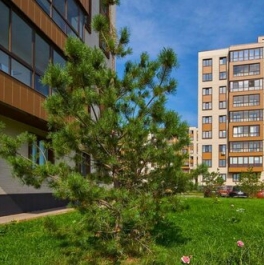 Продажа 2-комн квартиры на вторичном рынке Пирогово, улица Сурикова,  д. 1