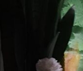 Продать Квартиры вторичка Электроугли, Железнодорожная улица, 31   