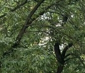 Продать Квартиры вторичка улица Стахановцев, 14   