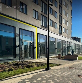 Аренда ПСН Заневский пр-кт,  д. 65