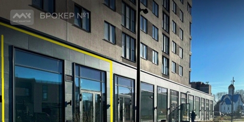 Помещение свободного назначения Заневский пр-кт,  д. 65