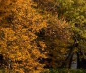 Продать Квартиры вторичка набережная Кутузова, 26   