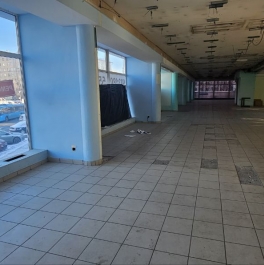 Аренда ПСН ул Тимирязевская, д. 13 Аренда ПСН ул Тимирязевская, д. 13