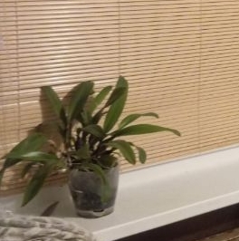 Аренда комнаты улица Асафьева, 2К1 Аренда комнаты улица Асафьева, 2К1