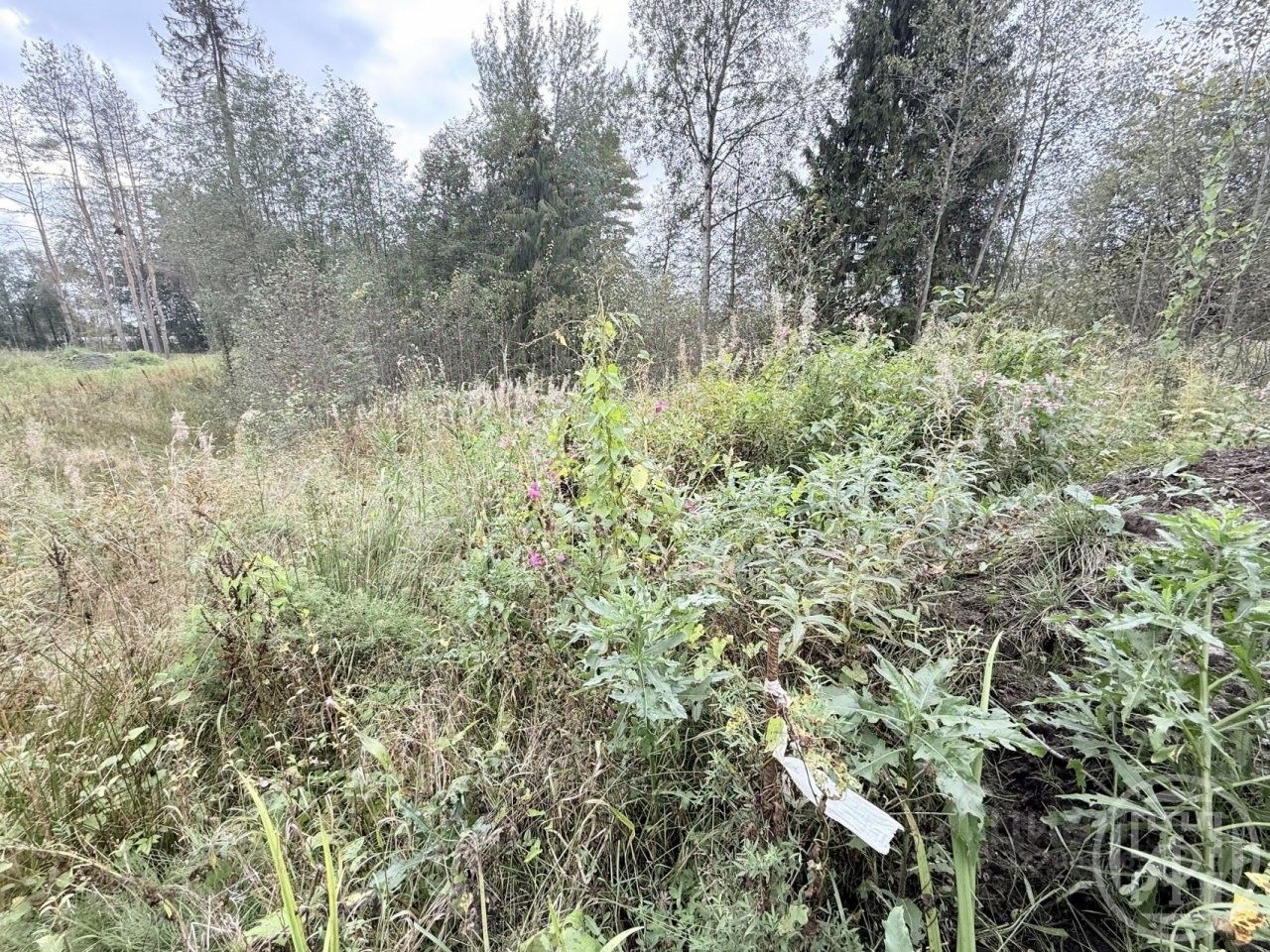 Продажа земли пос. Первомайское, переулок Еловый